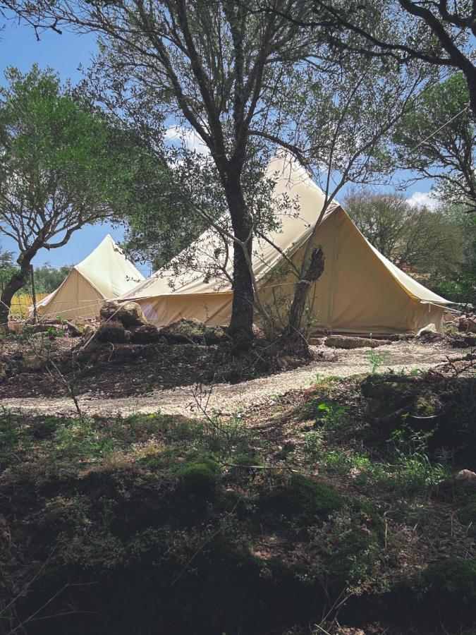 Pasare Glamping_Anglonaruralexperience Hotel Perfugas Bagian luar foto