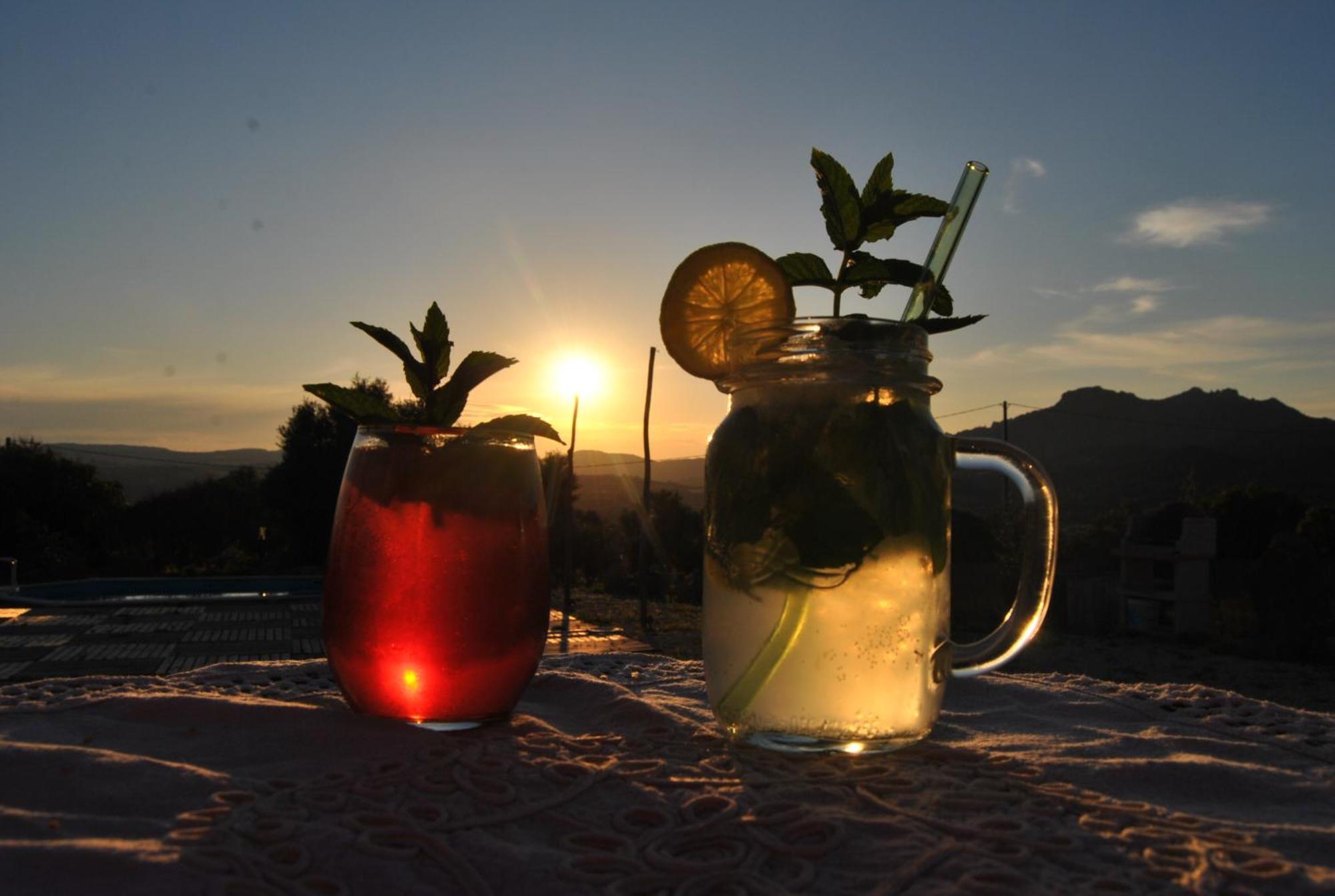 Pasare Glamping_Anglonaruralexperience Hotel Perfugas Bagian luar foto
